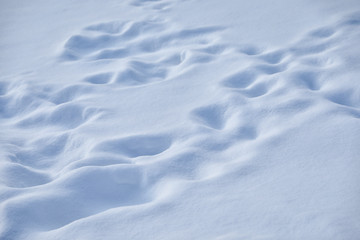 Fototapeta na wymiar Beautiful snowdrift as background, closeup view. Winter weather