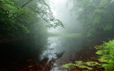 霧の沼