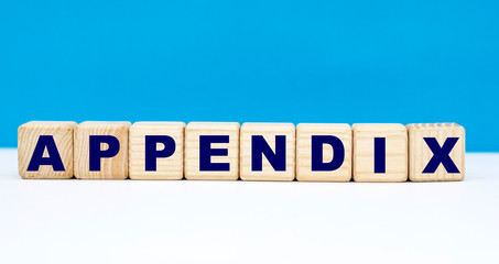 concept word APPENDIX on cubes on a blue background