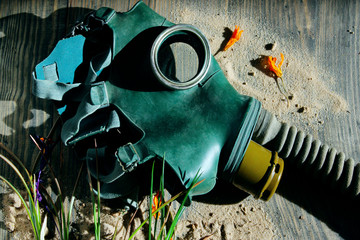 Gas mask. dry flowers, sand, wooden background. Panic, war, epidemic concept.