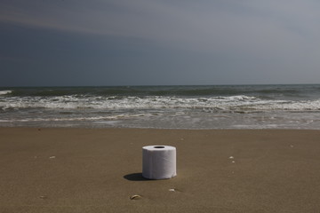 Toilet paper on a beach