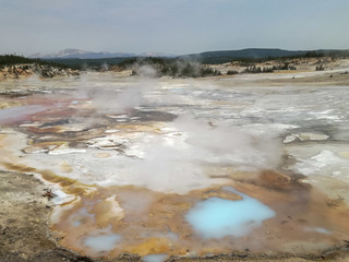 geyser yellowstone 