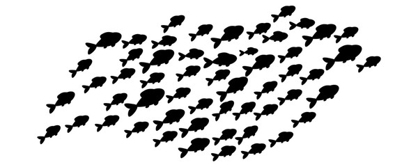 School of fish. Sea animal, fishes silhouettes. Marine life isolated on white background. Vector illustration. 