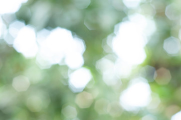 Obraz premium Green bokeh background, soft light.