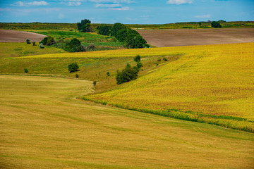 Agricultural landscape, fields after harvesting clouds and blue sky.