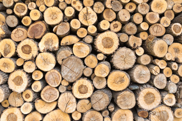 Wall of stacked wood logs for background