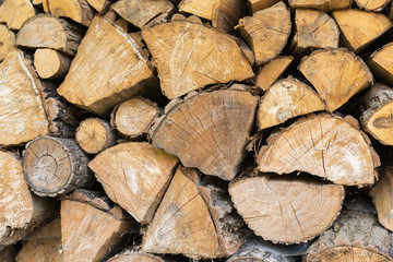 Wall of stacked wood logs for background