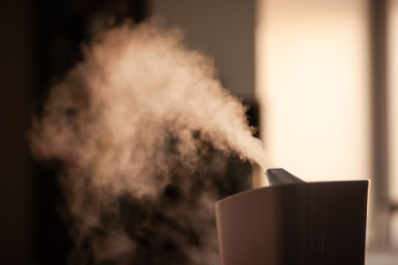 Humidifier spreading vapor