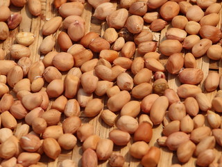 Peanuts in a tray. Peanuts are a good source of protein and vitamins and nutrients.