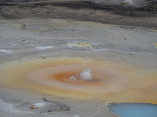 geyser yellowstone 