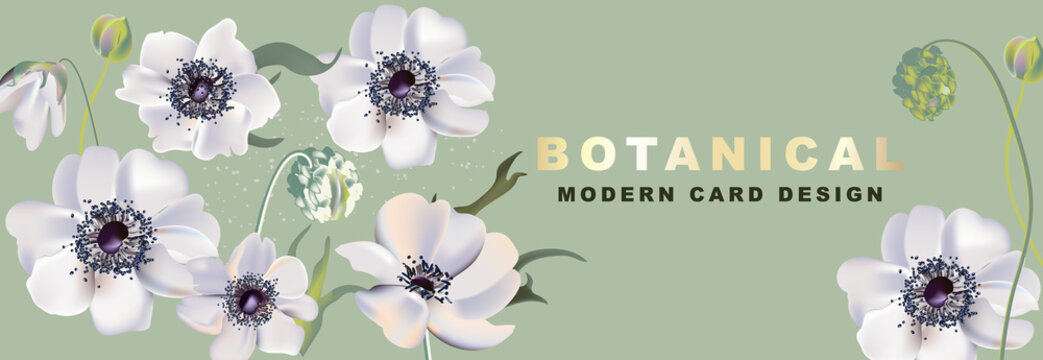 Anemones  realitic floral header, Vector 2020. Watercolor flower bloom plent design for cosmetics, spa, perfume, health care products, aroma, wedding invitation, website banner