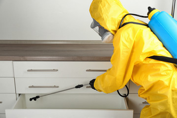 Pest control worker spraying pesticide on furniture indoors