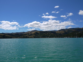 Obraz premium New Zealand, Akaroa