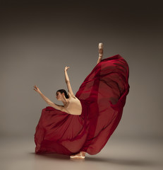 Passioned in motion. Graceful classic ballerina dancing on grey studio background. Deep red cloth....