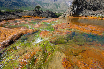 A river flowing