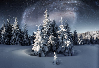 Majestic landscape with forest at winter night time with stars and galaxy in the sky. Scenery...