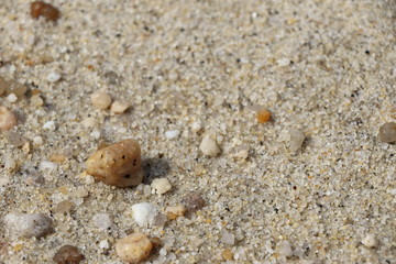 Macro de sable
