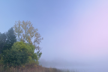 Autumn landscape at dawn of the shoreline of Whitford Lake in fog, Fort Custer State Park, Michigan, USA