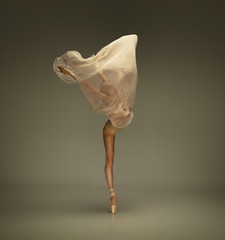 Spring blooming. Graceful classic ballerina dancing on grey studio background. Tender beige cloth. The grace, artist, movement, action and motion concept. Looks weightless, flexible. Fashion, style.