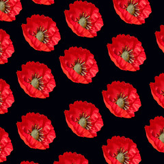 Poppy flowers pattern background on the black background
