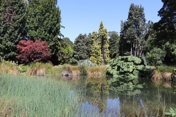 Jardin botanique de Christchurch