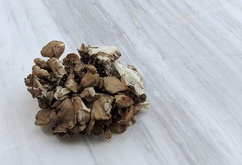 Japanese Maitake mushrooms on marble background