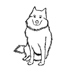 Black and white vector drawing of a Samoyed dog. A cute pet is sitting and waiting for the owner. The big shaggy dog looks at us expectantly and with reproach. Good white thoroughbred dog