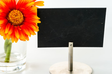 blank sign with space for text