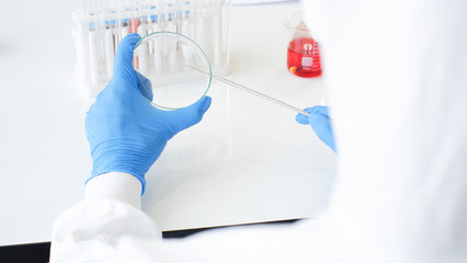 Researchers wear sterile gloves in the microbiology laboratory to cultivate cells in tissue culture...