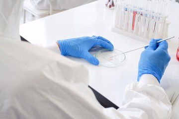 Researchers wear sterile gloves in the microbiology laboratory to cultivate cells in tissue culture sheets. To create an antiviral formula for people around the world Laboratory research concepts