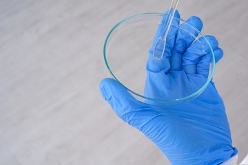 Researchers wear sterile gloves in the microbiology laboratory to cultivate cells in tissue culture sheets. To create an antiviral formula for people around the world Laboratory research concepts