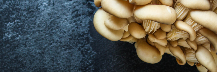 oyster mushrooms, fresh and ripe, keto or paleo diet menu concept background. top view. copy spaces for text