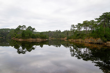 Obraz na płótnie Canvas lege cap ferret lake beach with pines reflection in water