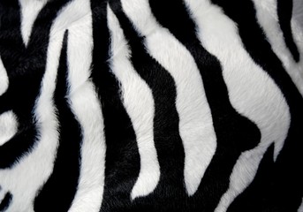 Fototapeta na wymiar Zebramuster auf Kissen Stoff