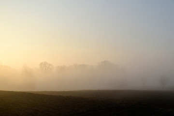 Summer landscape. Fog on the background of a field with trees and sunny sunset.