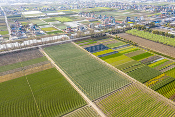 Fototapeta premium farmland with village