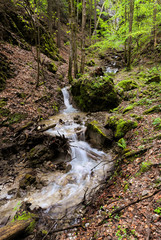 sokolia dolina © Andrej Macko