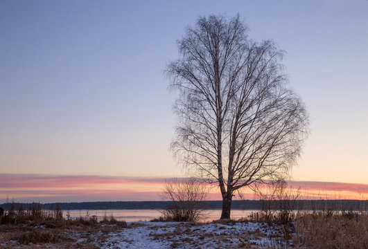 Early winter morning on the banks of the Volga River © Анна Костенко