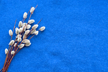 Easter card concept with willow branches on a blue background from knitted angora wool with copy space © Viktoryia
