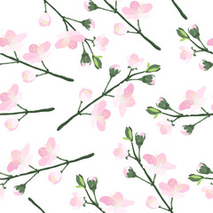 Decorative seamless pattern with hand drawn cherry blossom sakura branch. Spring natural texture with cherry tree blooming japanese flower isolated on white background. Vector eps10 illustration