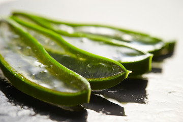 Aloe vera cross section background 