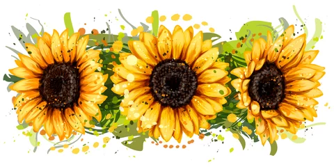 Fototapete Sonnenblumen Sonnenblumen. Künstlerisch, Farbe, gezeichnetes Bild von hellen Sonnenblumen im Aquarellstil auf weißem Hintergrund. Wandaufkleber.