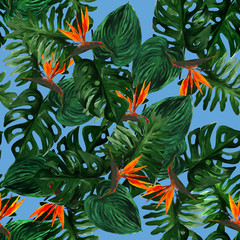 Original seamless tropical pattern with Strelitzia and leaves on blue background. Seamless pattern with colorful leaves of colocasia, filodendron, monstera. Exotic wallpaper. Hawaiian style © Olena