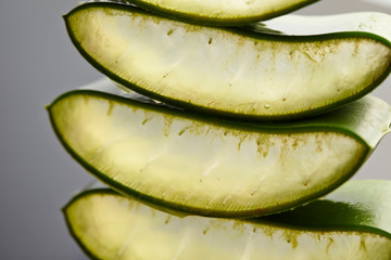 Aloe vera cross section background 
