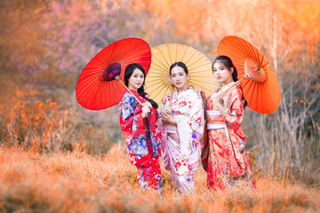 Japanese women wearing kimonos carrying red umbrellas in autumn. Beautiful Female wearing...