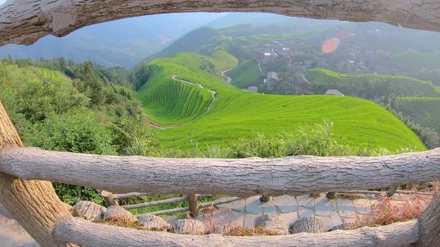 Bird eye view of the scenic Seven Stars Accompany the Moon cascading layered Rice Terraces, forming part of Longji Rice Terraces, Pingan village, northern Guilin, Guangxi Province, China