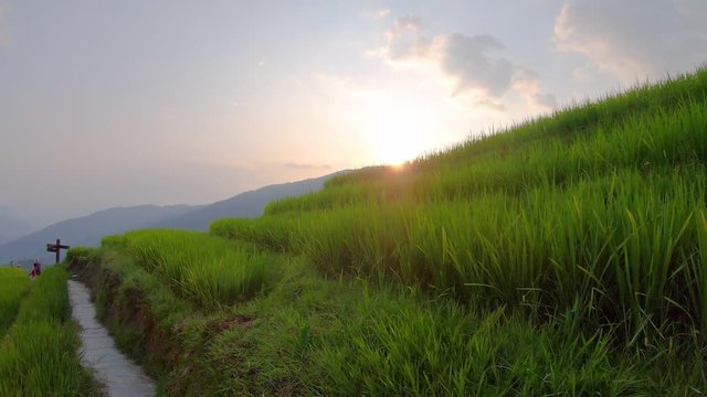 Dusk over the scenic Seven Stars Accompany the Moon cascading layered Rice Terraces forming part of Longji Rice Terraces, Pingan village,  Guangxi Province, China