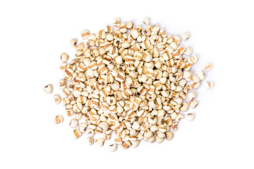 Closeup pile of white Job's tears ( Adlay millet or pearl millet ) isolated on white background .Top view. Flat lay.