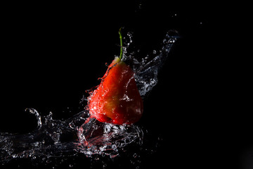 The water is splashed rose apple  on the  until the water is distributed beautifully on a black background.