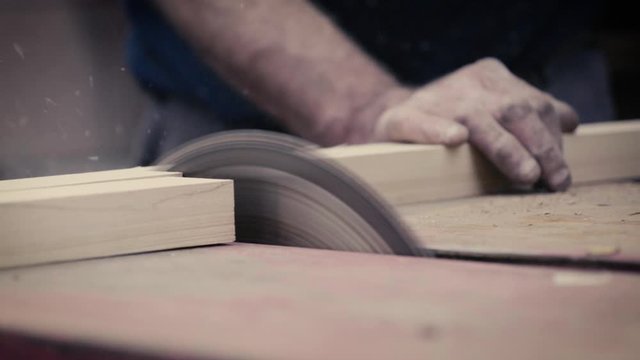 circular saw cutting woods
